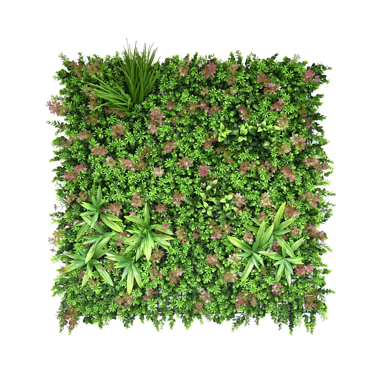 Single-panel plant walls